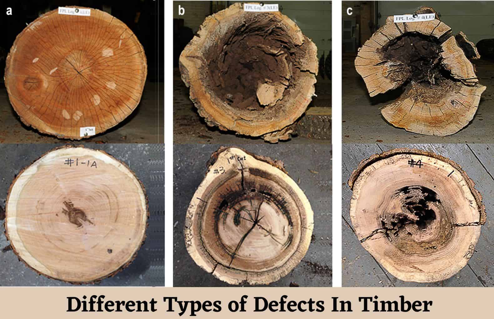 The Surface Of Freshly Cut Timber Should Be